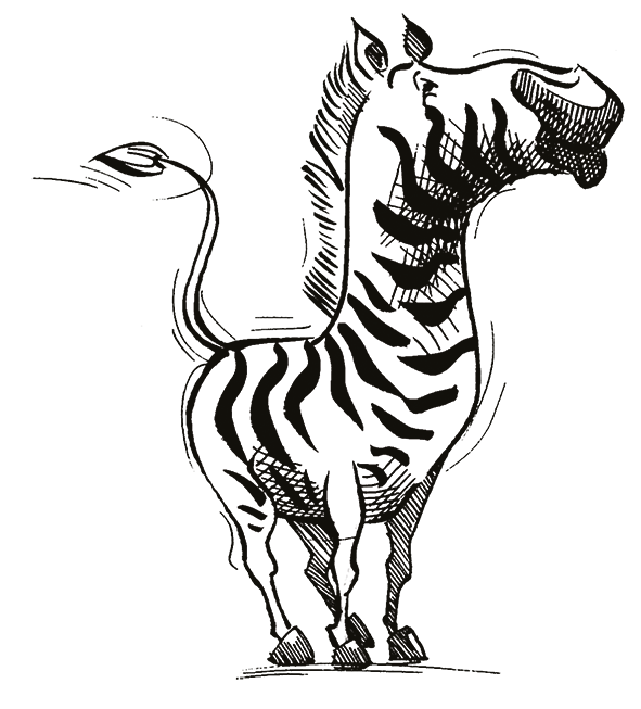 Zebra Pad